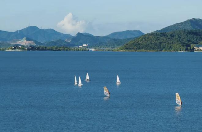 流氓兔的马拉松大冒险